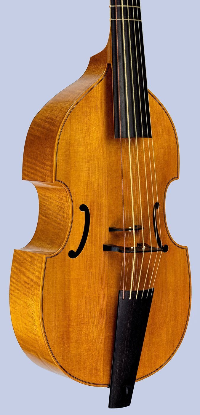 lyra viol with sympathetic strings body