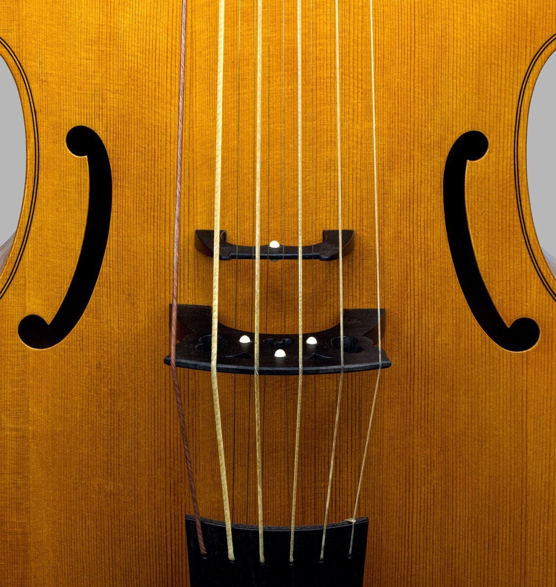 lyra viol with sympathetic strings bridges