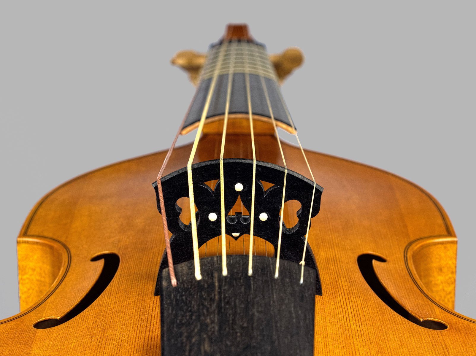 lyra viol with sympathetic strings bridges end view