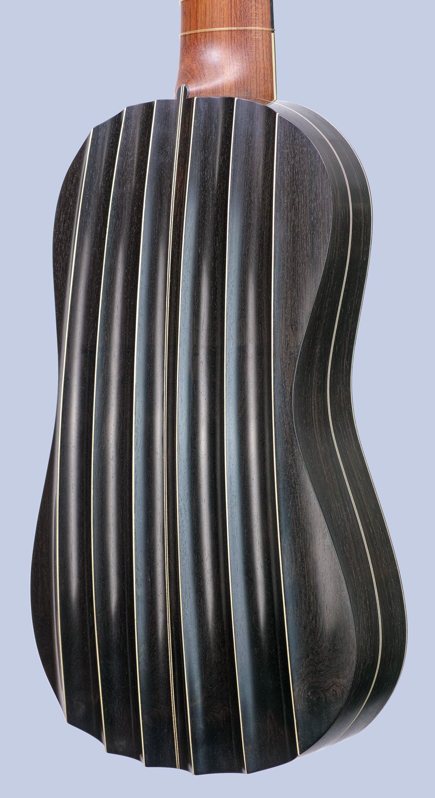 Fluted-back Dias model vihuela with African blackwood ribs rear body view in perspective